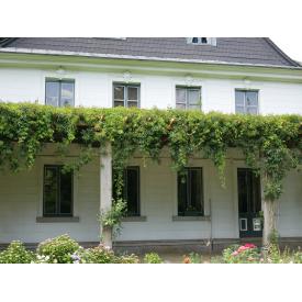 Fenster-Fassade-3.JPG