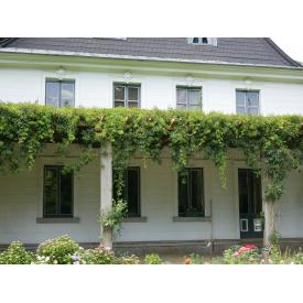 Fenster-Fassade-3.JPG